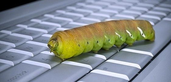 电脑蠕虫